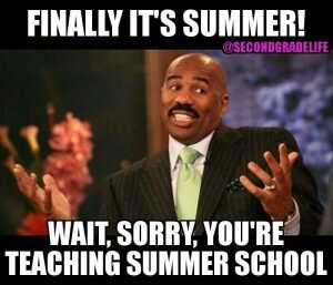 summer schools teaching