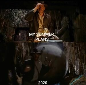 Summer plans and 2020 summer memes