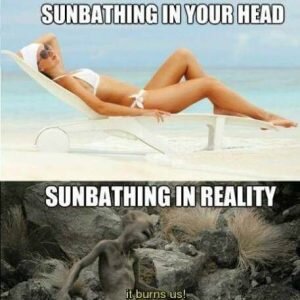 Sunbathing in your head and sunbathing in reality summer memes