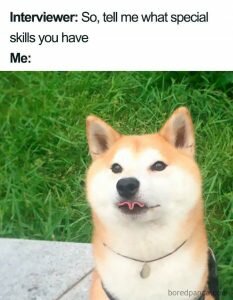What special skills you have job interview memes